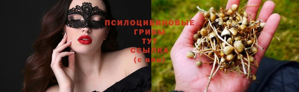 экстази Арсеньев