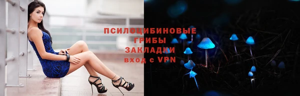 прущий лед Аркадак